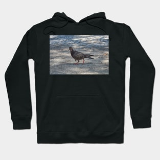 A night out on the tiles Hoodie